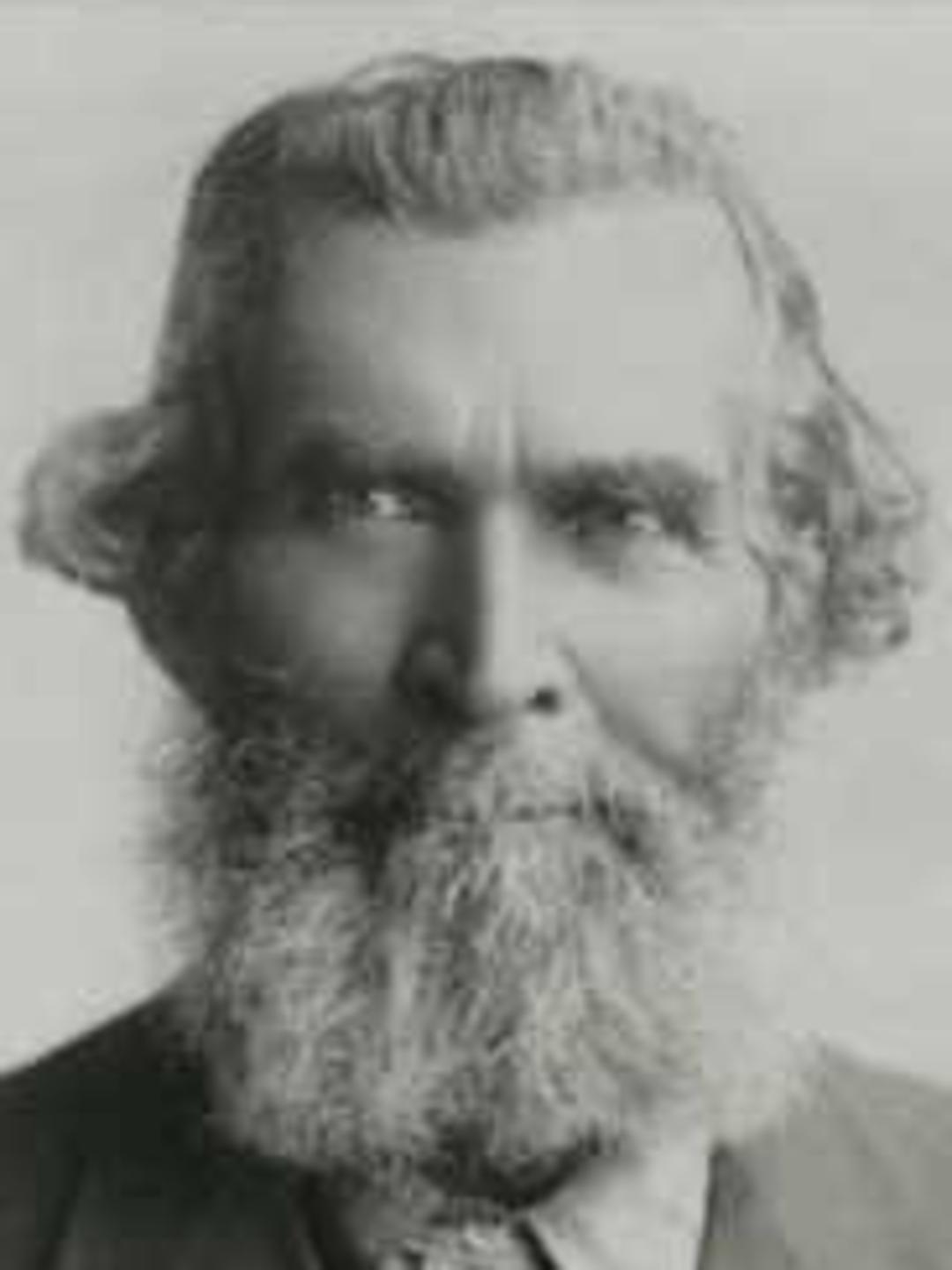 Almer Bingley Cox (1844 - 1929) Profile